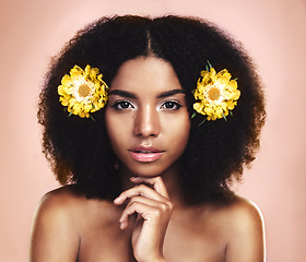 Image showing Portrait, woman and flowers in afro, studio and background for beauty, floral aesthetic or shine. Face of african model, natural skincare and yellow daisy plants in hair for makeup, cosmetics or glow