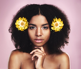 Image showing Face, serious woman and flowers for hair care in studio, pink background and beauty of floral aesthetic. Portrait of african model, natural skincare and yellow plants in afro of sustainable cosmetics