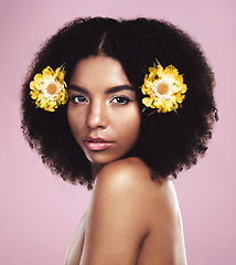 Image showing Portrait, woman and flowers in hair in studio, pink background and eco friendly makeup, beauty or natural skincare. Face of serious african model, floral cosmetics or afro for sustainable dermatology