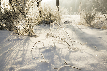 Image showing white fresh snow