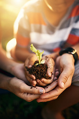 Image showing Hands of family, soil or plant in garden for sustainability, agriculture care or farming development. Backyard, natural growth or closeup of parents hand holding sand or planting for teaching a child