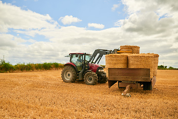 Image showing Hay, agriculture and a tractor on a farm in the countryside for sustainability outdoor during the harvest season. Nature, sky and clouds with an agricultural vehicle for harvesting on an open field