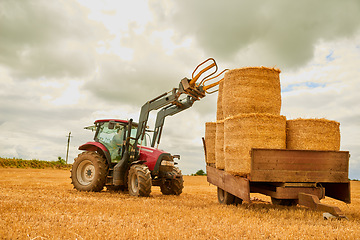 Image showing Hay, agriculture and a tractor on a farm in the harvest season for sustainability outdoor on an open field. Nature, summer sky and clouds with a red agricultural vehicle harvesting in the countryside