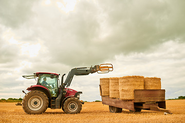 Image showing Hay, countryside and a tractor on a farm for sustainability outdoor on an open field during the harvest season. Agriculture, sky and clouds with a red industrial farming vehicle harvesting in nature