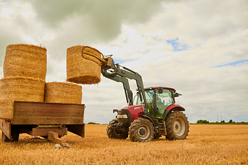 Image showing Hay, agriculture and a tractor on a farm for sustainability outdoor on an open field during the harvest season. Nature, sky and clouds with a red agricultural vehicle harvesting in the countryside