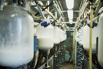 Image showing Industry, dairy and milk production factory with equipment on an industrial farm warehouse. Agriculture, sustainable and liquid process with machinery and pipes on a eco friendly field in countryside