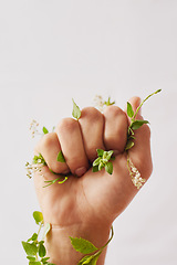 Image showing Woman hand, holding plants and fist for eco warrior, fight and revolution for sustainability protest. White background, studio and person with leaf and green plant in hands for environment rally