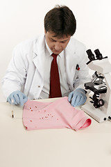 Image showing Forensic investigator