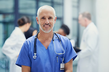 Image showing Healthcare, portrait of doctor or nurse with smile in hospital, happiness and support in medical career. Health care, confidence and medicine, happy man or senior nursing professional in workplace.