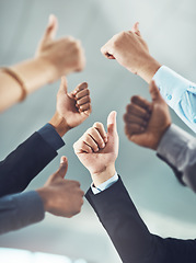 Image showing Business people, hands and thumbs up in teamwork for winning, success or company goals at office. Hand of employee group showing thumb emoji, yes sign or like for team unity, win or victory together