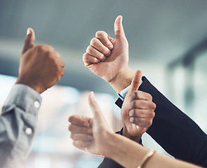 Image showing Business people, hands and thumbs up for winning, success or company goals in teamwork at office. Hand of employee group showing thumb emoji, yes sign or like for team unity, win or victory together