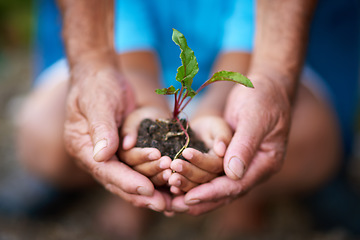 Image showing Hands, kid and senior person with plant in soil for earth day, climate change or environment care. Hand, child and grandparent with leaf in nature for sustainability, learning and eco friendly growth