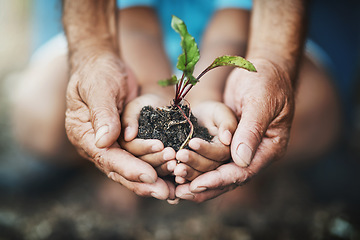 Image showing Hands, child and grandparent with plant in nature for sustainability, learning and eco friendly growth. Hand, kid and senior person with leaf in soil for earth day, climate change or environment care