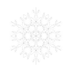 Image showing Snowflake Icon