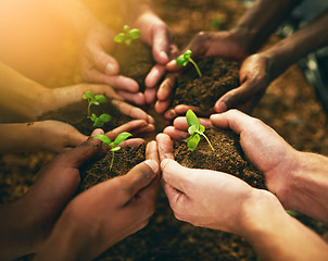 Image showing Plant, sustainability and soil with hands of people for teamwork, earth and environment. Collaboration, growth and investment with friends in nature for future, partnership and community