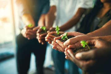 Image showing Plant, sustainability and environment with hands of business people for teamwork, earth and support. Collaboration, growth and diversity with employees and soil for future, partnership or community