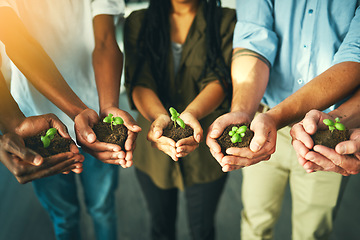 Image showing Plant, sustainability and earth with hands of business people for teamwork, support or environment. Collaboration, growth and investment with employees and soil for future, partnership or community