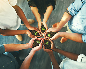 Image showing Plant, sustainability and support with hands of business people for teamwork, earth or environment from above. Collaboration, growth and investment with employees for future, partnership or community