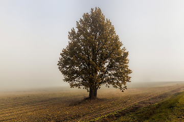 Image showing European autumn