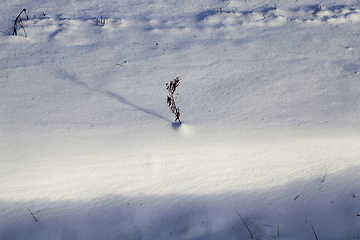 Image showing snow covered agricultural field