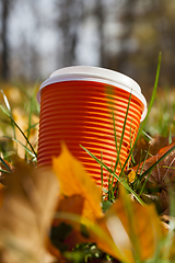 Image showing yellow foliage and Cup for tea