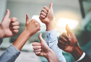 Image showing Thumbs up, success and yes with hands of business people in office for agreement, winner and teamwork. Emoji, support and community with group of employees for goals, thank you and motivation