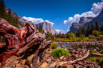 Image showing El Capitan, Yosemite national park