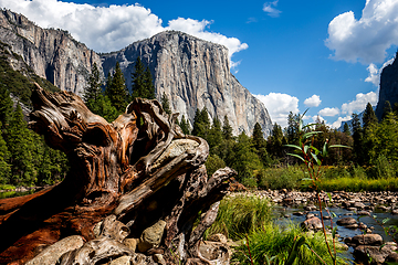 Image showing El Capitan, Yosemite national park