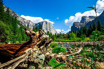 Image showing El Capitan, Yosemite national park