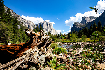 Image showing El Capitan, Yosemite national park