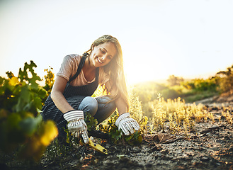 Image showing Woman, soil and plants with smile at farm for crops, agriculture and nature for job, food or vegetables. Girl, shovel and dirt for planting, garden or farming with happiness, start and sustainability