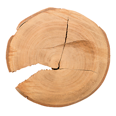 Image showing Wood log slice