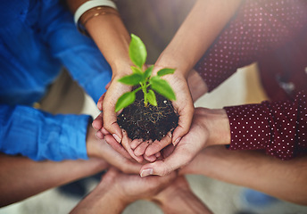 Image showing Hands, plant and growth from above with people holding a pile of earth for the sustainability of the environment. Nature, spring and teamwork with a group of friends together for eco responsibility