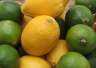 Image showing Citruses: lime and lemon