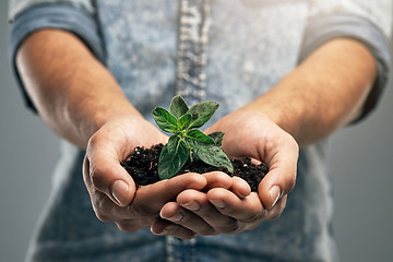 Image showing Growth, plant and soil with hands of man for sustainability, future and environment. Earth, hope and support with closeup of male person on studio background for recycling, success and eco friendly