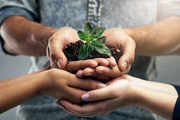 Image showing Sustainability, plant and hands with soil for nature as a team to support the environment in collaboration. Carbon footprint, sustainable and group of people with dirt and leaves in a palm