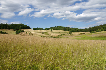 Image showing Summer landsscape