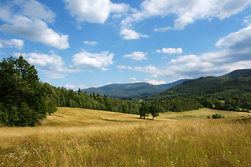 Image showing Summer landsscape