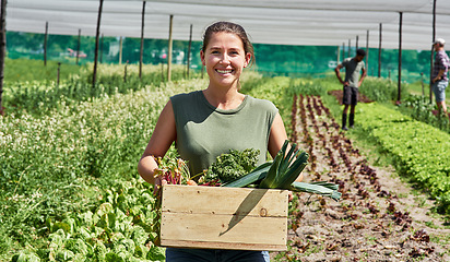 Image showing Portrait, agriculture and a woman in a greenhouse on a farm for sustainability in the harvest season. Smile, spring and food with a female farmer carrying a crate of fresh vegetables or produce