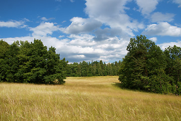 Image showing Summer landsscape