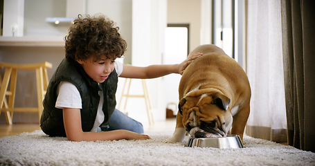 Image showing Food, dog and child and feeding in apartment for love, bonding and friends. Animal, happy and pets with young boy and puppy eating on floor of family home for affectionate, responsible and learning