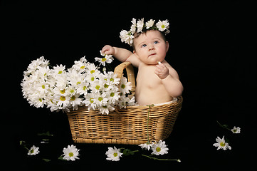 Image showing Baby and daisies