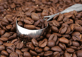 Image showing Coffe beans