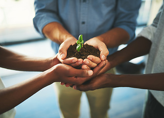 Image showing Plant, soil and teamwork with hands of business people for support, earth or environment. Collaboration, growth and investment with closeup of employees for sustainability, partnership or community