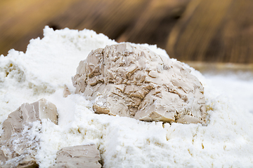 Image showing yeast in flour