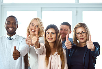 Image showing Portrait, smile and group of business people with thumbs up in office workplace. Face, hand gesture and employee teamwork with like emoji for success, ok or agreement, approval and thank you sign.