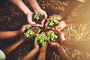 Image showing Closeup, top view and hands with soil, plants and agriculture with growth, environment and nature. Zoom, people and earth with sustainability, recycle and leave with eco friendly, natural and farm