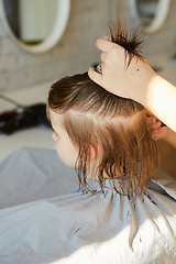 Image showing Hairdresser making a hair style to cute little girl.