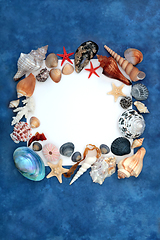 Image showing Decorative Sea Shell Border with Assortment of Shells