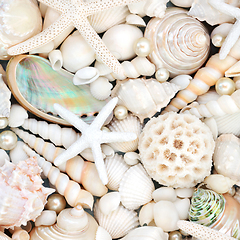 Image showing Pearl and Seashell Decorative Background  